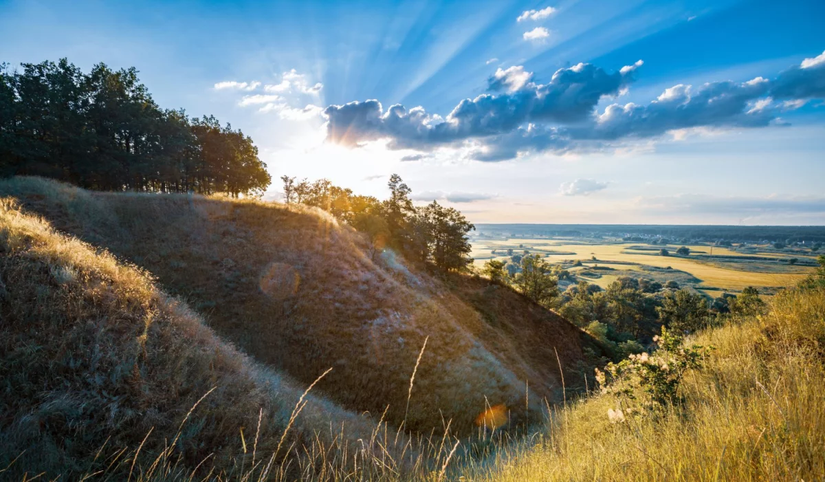 Oto Jak Szybko I Bezpieczenie nauczyć się tańca