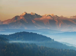 Sprawdź jak możesz zamontować fotowoltaikę w Poznaniu