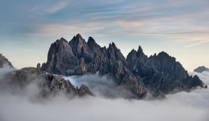 Kto może kupić samochód?