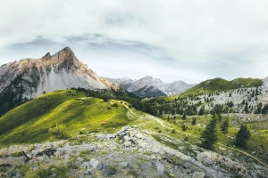 Czy można kupić wyposażenie domu w sobotę?