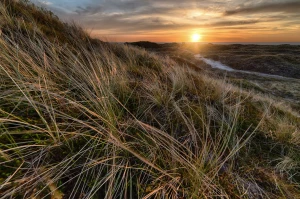 3 nowych sposóbw w 2022 aby  zamontować fotowoltaikę w Poznaniu